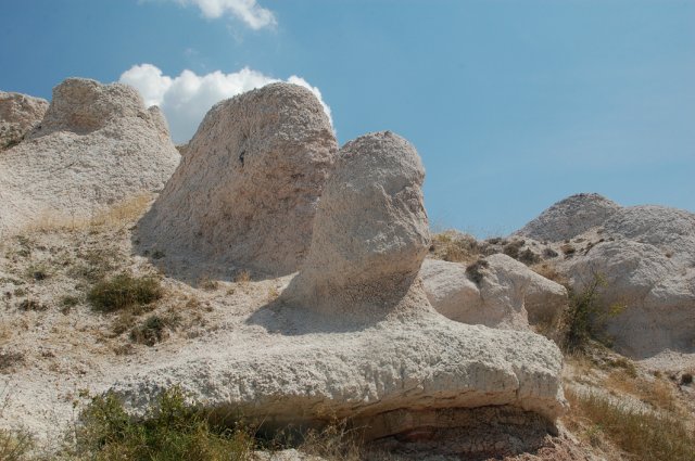DSC_1600-1