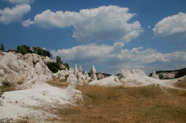 DSC_1610-1