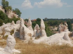 DSC_1300-1
