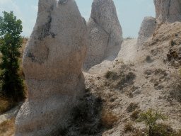 DSC_1337-1