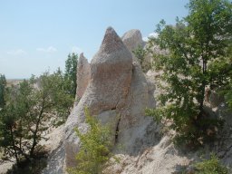 DSC_1347-1