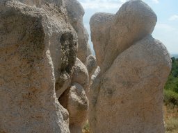 DSC_1536-1