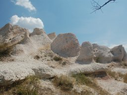 DSC_1598-1