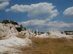 DSC_1610-1