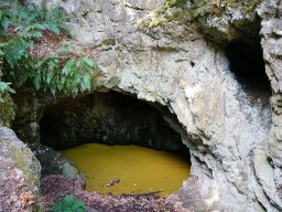 DSC09897