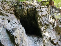 DSC09902