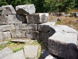 DSC09919