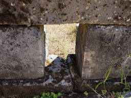 DSC09920
