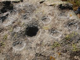 DSC_6233