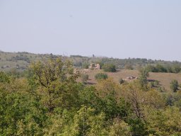 DSC_6239