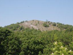 DSC_6561