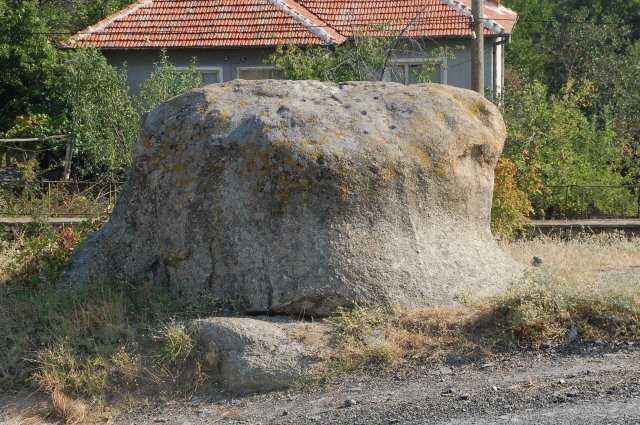 DSC_2694