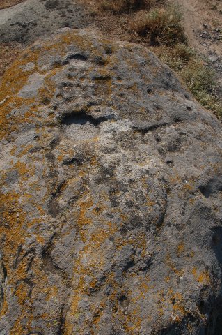 DSC_2701