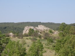 DSC_6656