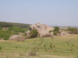 DSC_6658