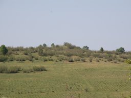 DSC_6802