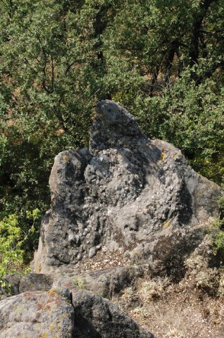 DSC_2874-1