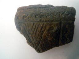 DSCN5145