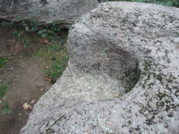 PB030340