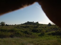 DSC_6642