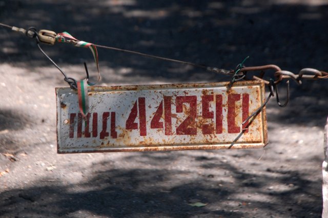DSC_2895-1