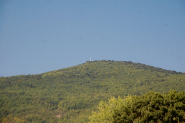 DSC_2917-1