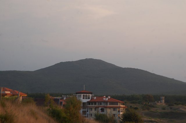 DSC_3117-1