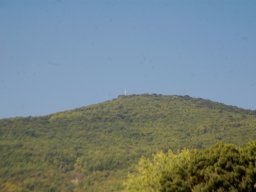 DSC_2917-1