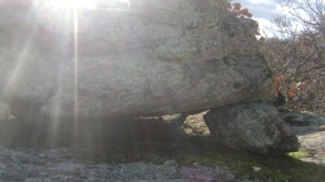 DSC07608-1