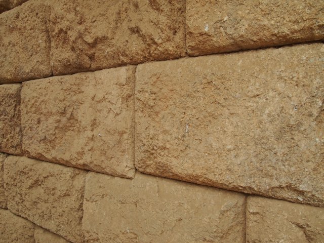 P1010664