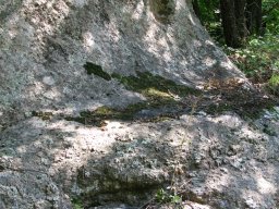 IMG_2732-1