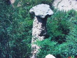 menhor
