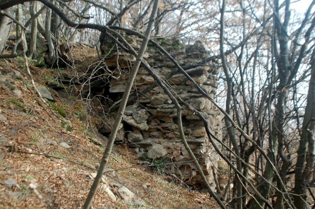 DSC_6316-1