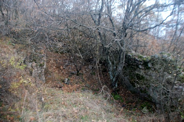 DSC_6383-1
