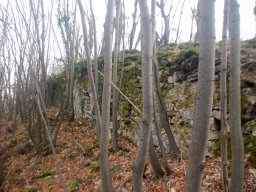 DSC_6392-1