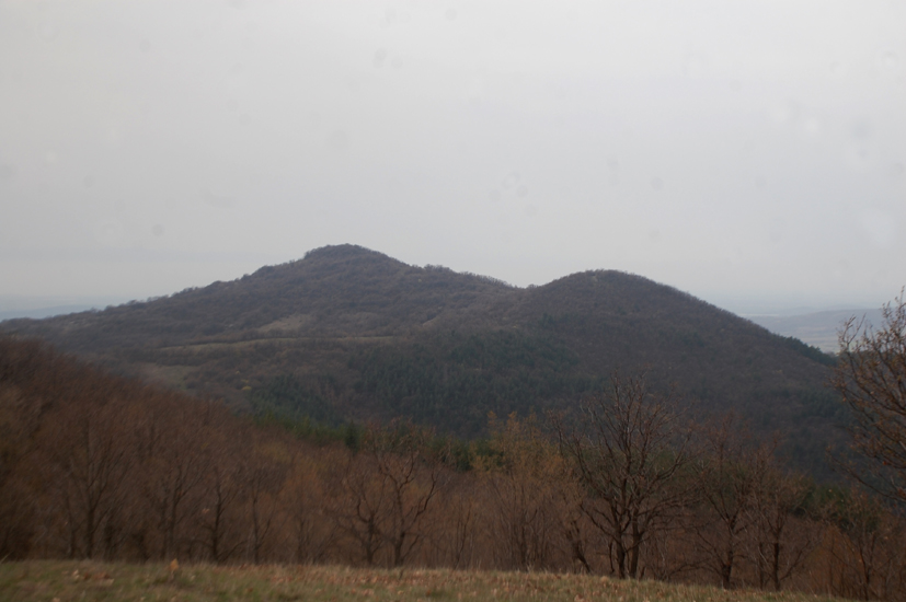 DSC_4431-1