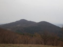 DSC_4431-1