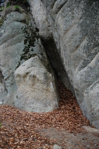 DSC_3761-1