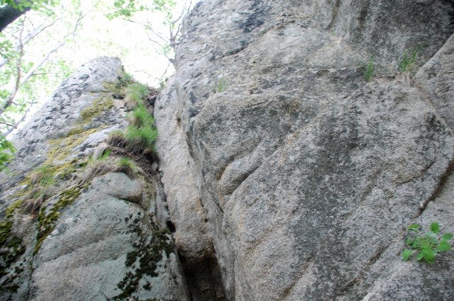 DSC_3765-1