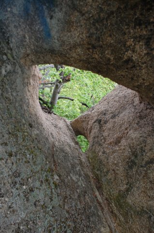 DSC_3813-1