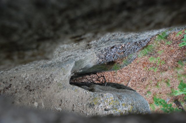 DSC_3841-1