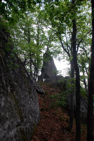 DSC_3856-1