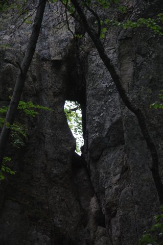 DSC_3886-1