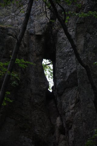 DSC_3887-1