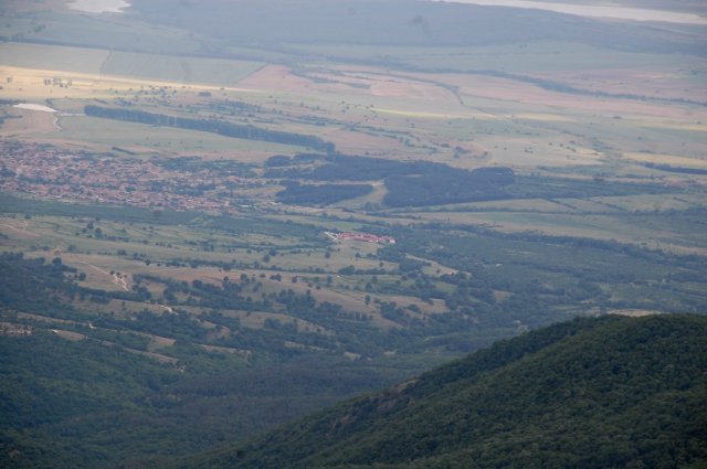 DSC_3925-1