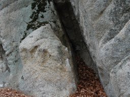 DSC_3761-1