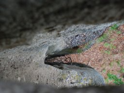 DSC_3841-1