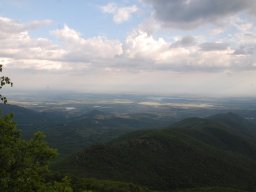DSC_3907-1