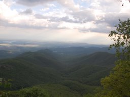 DSC_3911-1