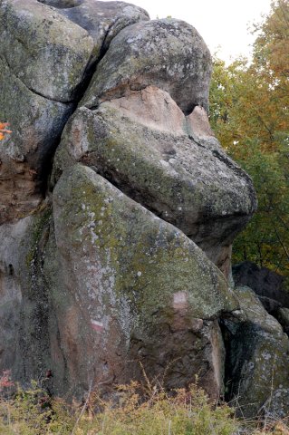 DSC_0121-1